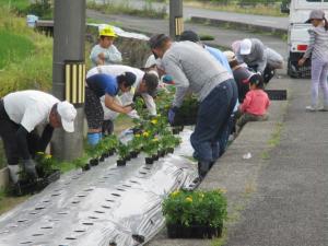 6月22日　モデル花壇花苗植付け作業