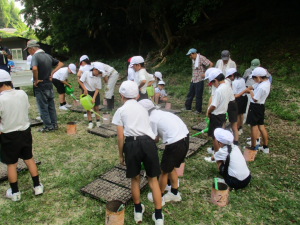 7月8日　東田布施小学校3年生とコスモス種まき1