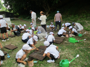 7月8日　東田布施小学校3年生とコスモス種まき3