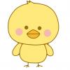 ひよこ