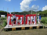 コスモス畑でゆうちゃろう