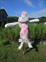 コスモスうさ子