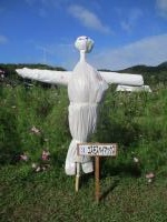 コスモスベイマックス