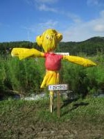 はちみつ大好きくまさん