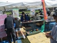 おかしすくい、ヨーヨーつり