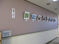 写遊ぴっかいち