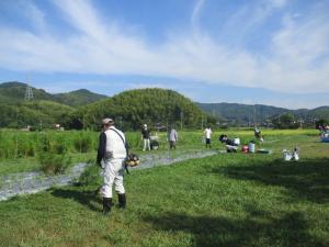8月3日　コスモス畑草刈り