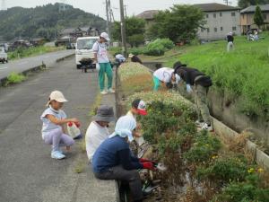 8月24日　モデル花壇草引き