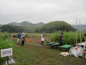 10月4日　コスモスまつり前日準備5
