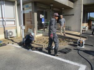 11月23日　公民館花苗定植