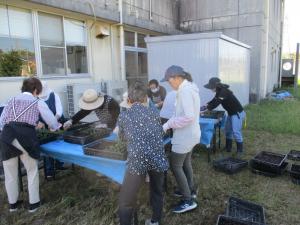 10月10日　ピット苗植付け(公民館)2