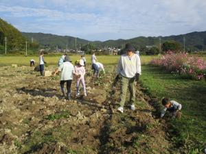 10月26日　さつまいも畑追加で芋掘り