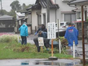 11月9日　公民館花壇苗上げ