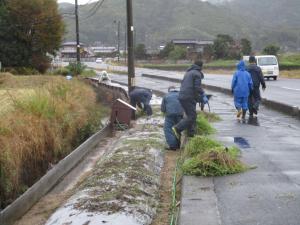 11月9日　モデル花壇苗上げ