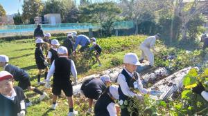 10月30日　東小さつまいも掘り1