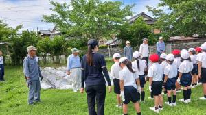 6月3日　東田布施小学校2年　さつまいも定植1の画像