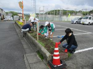 花壇の草抜き2