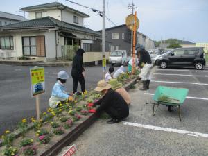 花壇草抜き